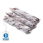 Apiana White Sage Set de 3 - 5 o 12 Smudges - Vignette | Achamana